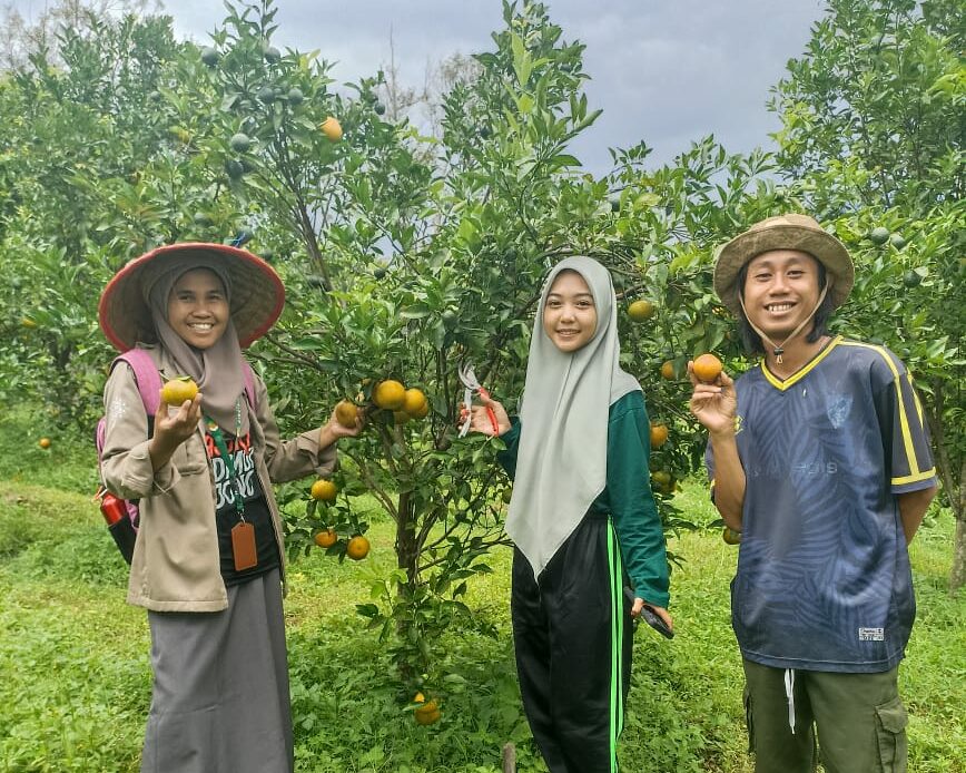 Dorong Pengembangan Kompetensi Mahasiswa dalam Budidaya Tanaman Buah, Prodi Agribisnis Jalin Kerjasama dengan Sabila Farm